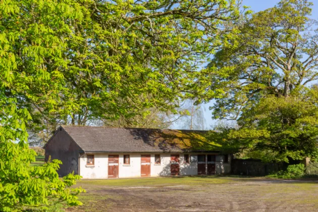 Photo of Eadestown House, On Approx. 12ha(31 Acres), Eadestown, Naas, County Kildare, W91P6XY