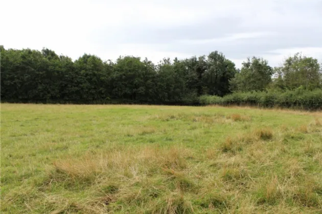 Photo of Sites For Sale, Corrie Beg,, Bagenalstown,, Co Carlow