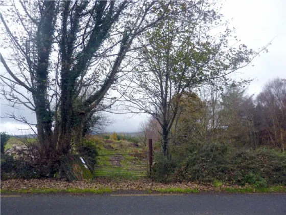 Photo of Residential Site, Cloonee, Partry, Co Mayo