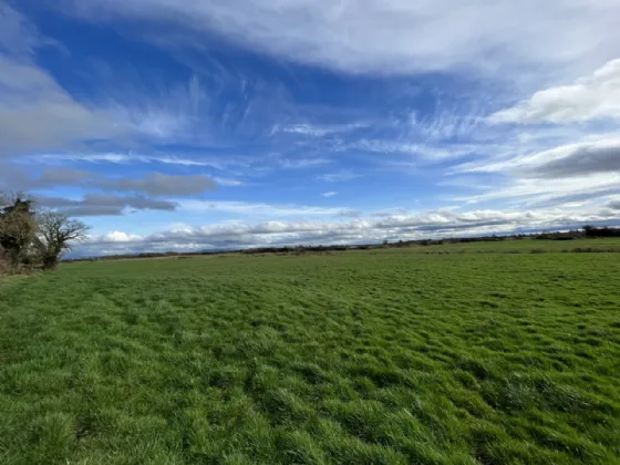 Photo of Land at Lisheen, Folio's CE34669F & CE6436, Ballynacally, Ennis, Co Clare