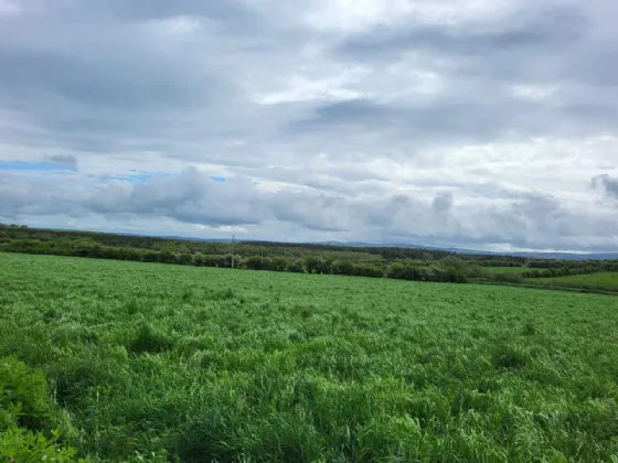 Photo of Land At, Killahan, Abbeydorney, Co. Kerry