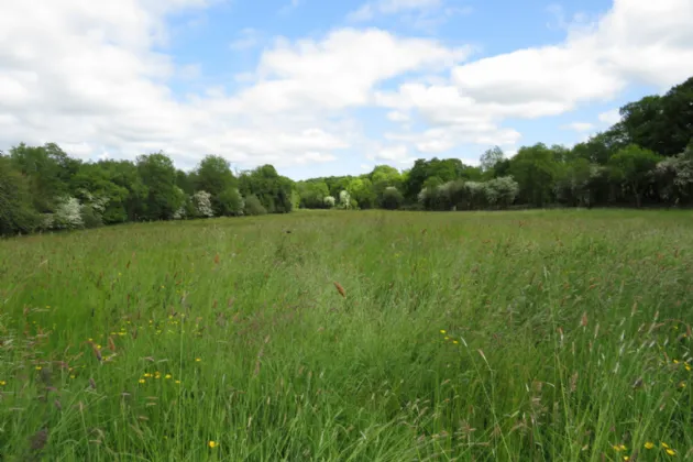 Photo of C. 5.6 Acres At, Ballygrace, Churchtown, Mallow, Co. Cork, P51 CY89