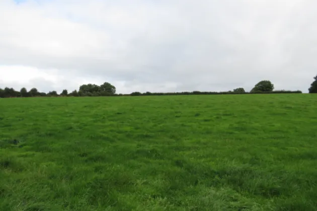 Photo of 23.7 Acres at, Bawnmore South, Lismire, Kanturk, Co. Cork