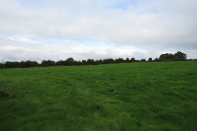 Photo of 23.7 Acres at, Bawnmore South, Lismire, Kanturk, Co. Cork