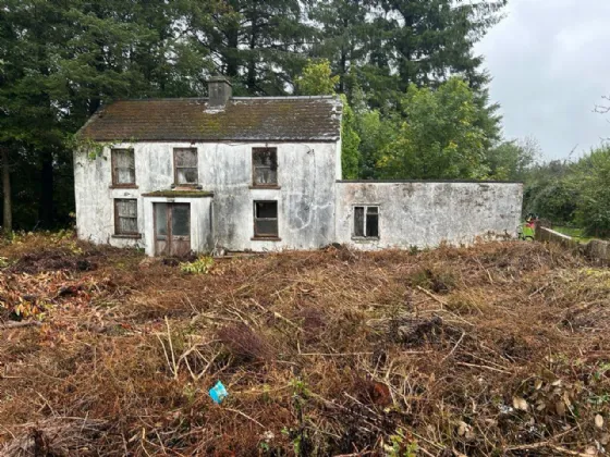 Photo of Derelict Farmhouse On 10.45 Acres, Lisheen, Gneeveguilla, Rathmore, Co Kerry