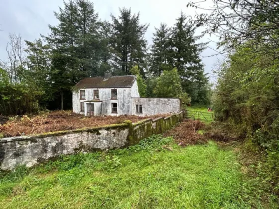 Photo of Derelict Farmhouse On 10.45 Acres, Lisheen, Gneeveguilla, Rathmore, Co Kerry