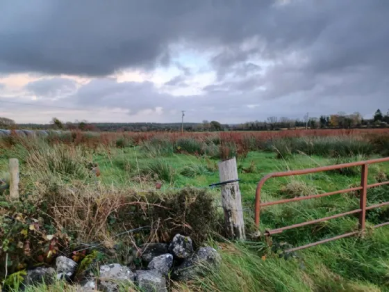 Photo of 0.568ac Site In Kinreask, Gurteen, Ballinasloe, Co. Galway