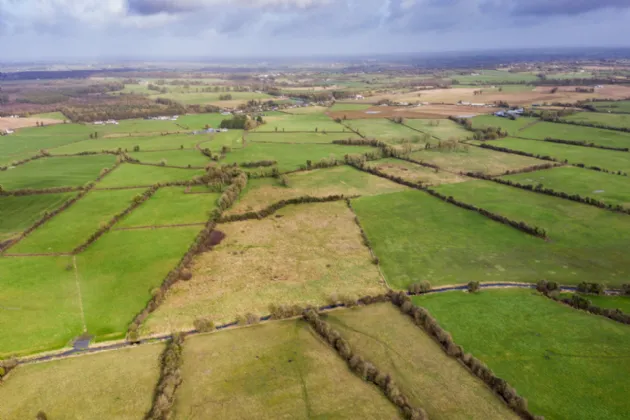 Photo of Land At Gormagh and Culleen, Durrow, Tullamore, Co. Offaly, R35 Y959