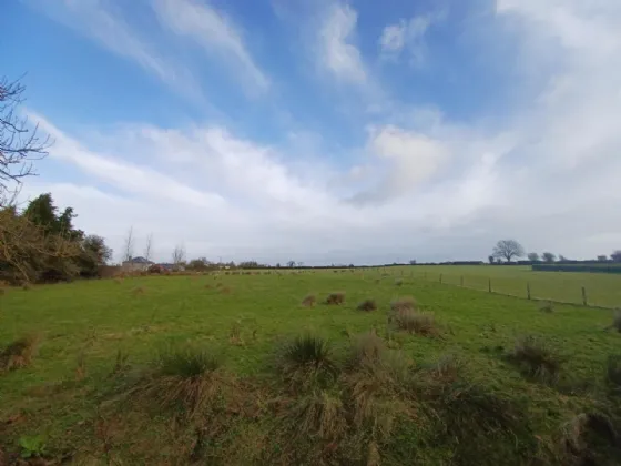 Photo of 0.543 Acre / 0.22 Ha, Lehanagh, Mountbellew, Co. Galway