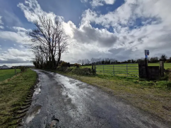 Photo of 6.6ac Of Land For Sale In Moyne, Moyne, Tuam, Co. Galway