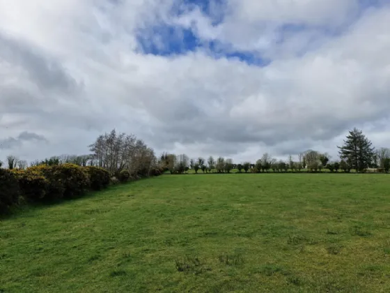 Photo of 6.6ac Of Land For Sale In Moyne, Moyne, Tuam, Co. Galway