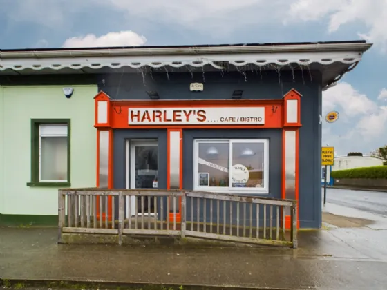 Photo of Harleys Cafe, Bridge Street, Portlaw, Co. Waterford, X91 F684